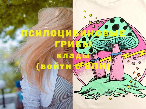 дмт Осинники