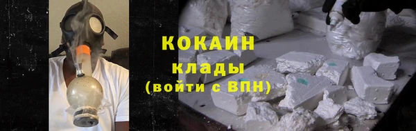 дмт Осинники