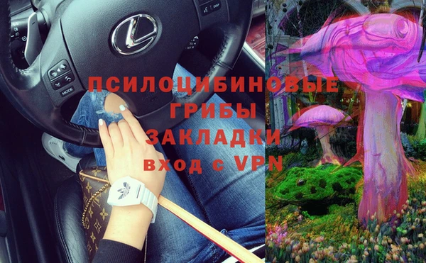 дмт Осинники