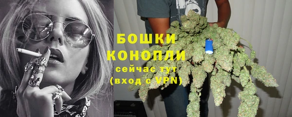дживик Осташков