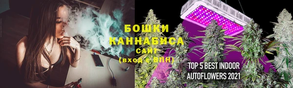 дмт Осинники