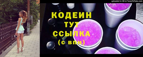 дживик Осташков