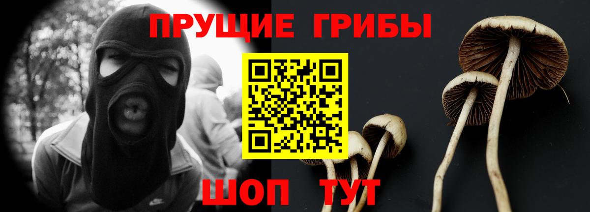 Псилоцибиновые грибы мухоморы Хабаровск
